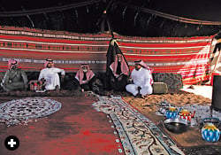 In his traditional Bedouin black camel-hair tent, partitioned by hand-woven divider walls, a Riyadh breeder serves coffee with dates, tea and fresh camel milk to a steady flow of visitors.